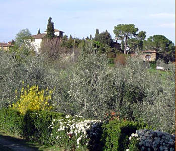 I dintorni dell'hotel