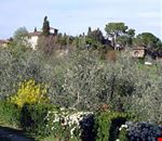I dintorni dell'hotel I dintorni dell'hotel