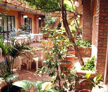 Giardino
