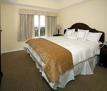 Suite king