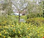 Giardino Giardino