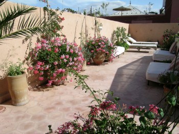 Terrazza