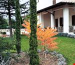Giardino Giardino