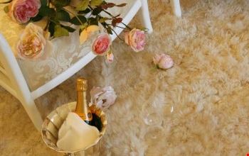 Suite Suite