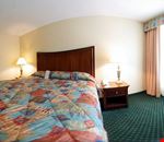 Suite king Suite king