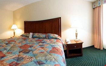 Suite king Suite king