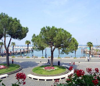 Vista