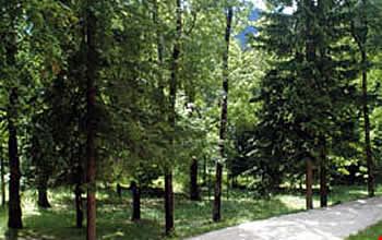 I dintorni dell'hotel I dintorni dell'hotel