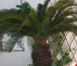 Esterno Esterno