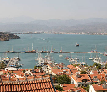 Vista