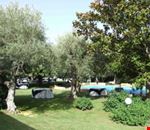 Giardino Giardino