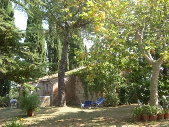 Esterno
