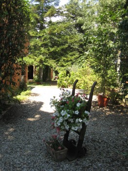Terrazza