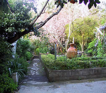 Giardino