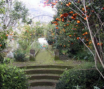 Giardino