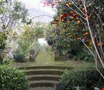 Giardino Giardino