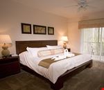 Suite Suite