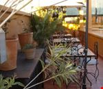 Terrazza Terrazza