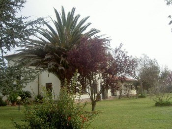 Esterno
