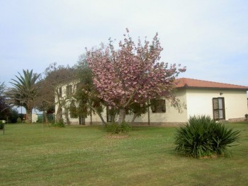 Esterno