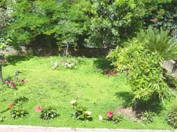 Giardino