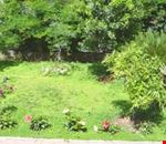 Giardino Giardino