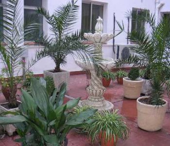 Cortile interno