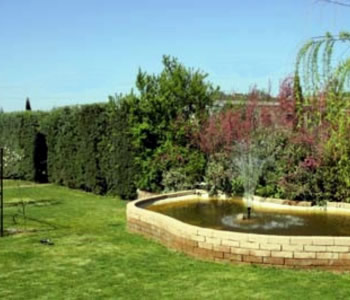 Giardino