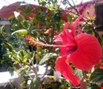 Giardino Giardino