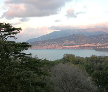 Vista