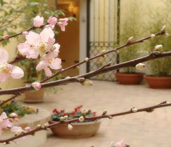 Cortile interno