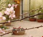 Cortile interno Cortile interno