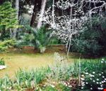Giardino Giardino