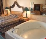 Suite Suite