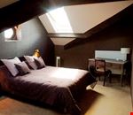 Suite Suite