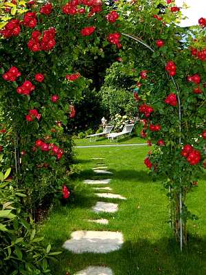 Giardino