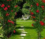 Giardino Giardino