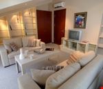 Suite Suite