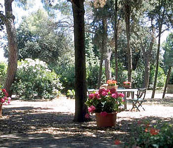 Giardino