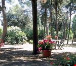Giardino Giardino