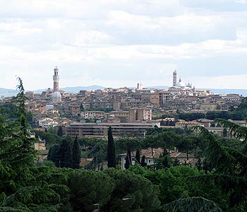 Vista