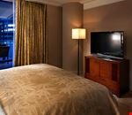 Suite Suite