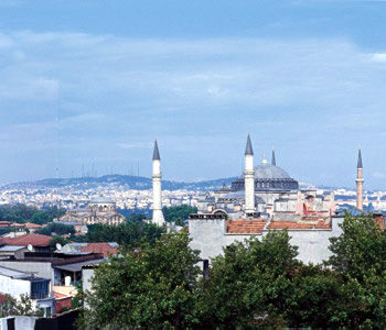 Vista