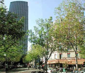 I dintorni dell'hotel