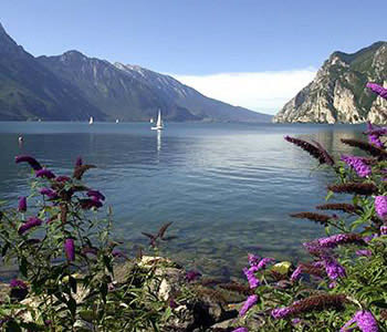 I dintorni dell'hotel