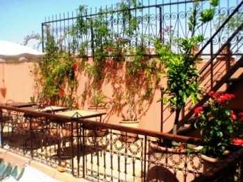 Terrazza