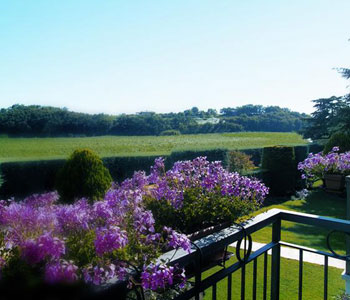 Vista dalla stanza