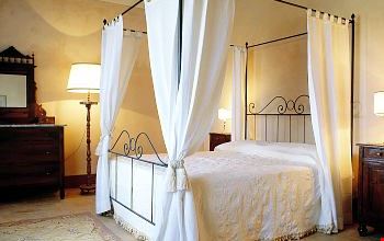 Senior Suite Senior Suite