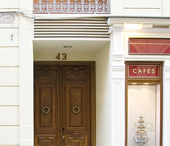Vista