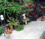 Giardino Giardino